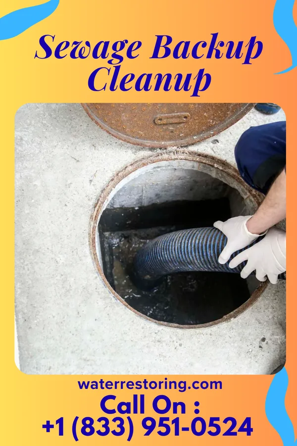 Sewage Backup Cleanup in Cool, TX